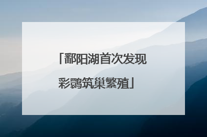 鄱阳湖首次发现彩鹮筑巢繁殖
