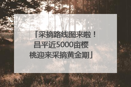 采摘路线图来啦！昌平近5000亩樱桃迎来采摘黄金期