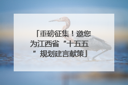 重磅征集！邀您为江西省“十五五”规划建言献策