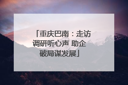 重庆巴南：走访调研听心声 助企破局谋发展