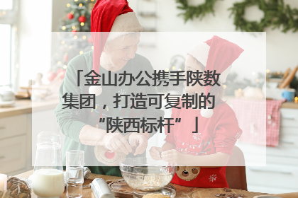 金山办公携手陕数集团，打造可复制的“陕西标杆”