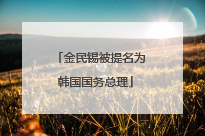 金民锡被提名为韩国国务总理
