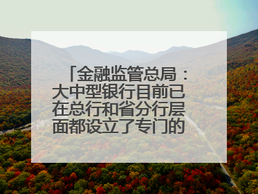 金融监管总局：大中型银行目前已在总行和省分行层面都设立了专门的科技金融部门