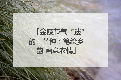 金陵节气“遗”韵｜芒种：笔绘乡韵 画意农情