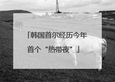 韩国首尔经历今年首个“热带夜”