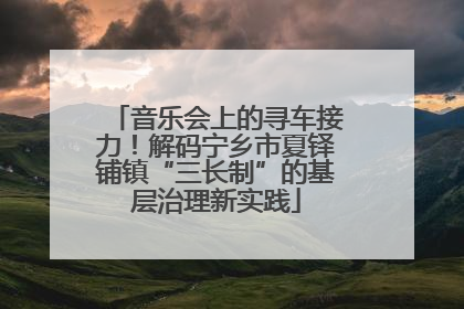 音乐会上的寻车接力！解码宁乡市夏铎铺镇“三长制”的基层治理新实践