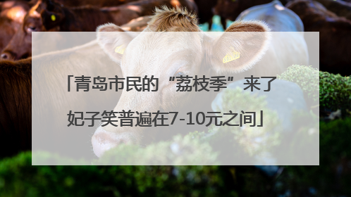 青岛市民的“荔枝季”来了 妃子笑普遍在7-10元之间