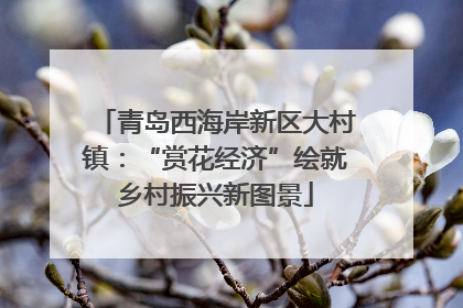 青岛西海岸新区大村镇：“赏花经济”绘就乡村振兴新图景