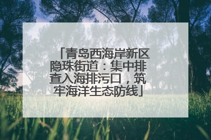 青岛西海岸新区隐珠街道：集中排查入海排污口，筑牢海洋生态防线
