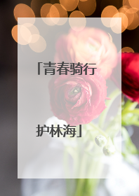 青春骑行护林海
