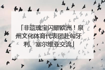 非遗瑰宝闪耀欧洲！泉州文化体育代表团赴匈牙利、塞尔维亚交流