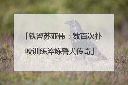 铁警苏亚伟：数百次扑咬训练淬炼警犬传奇