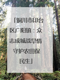 铜川市印台区广阳镇：众志成城战旱情 守护农田保民生