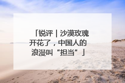 锐评｜沙漠玫瑰开花了，中国人的浪漫叫“担当”