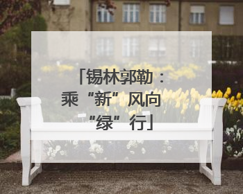 锡林郭勒：乘“新”风向“绿”行