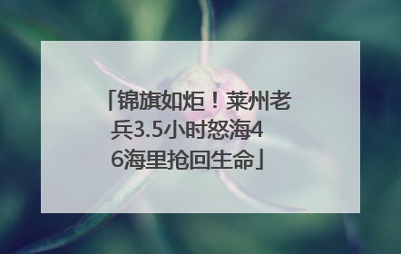 锦旗如炬！莱州老兵3.5小时怒海46海里抢回生命