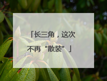 长三角，这次不再“散装”