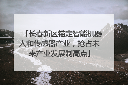 长春新区锚定智能机器人和传感器产业，抢占未来产业发展制高点