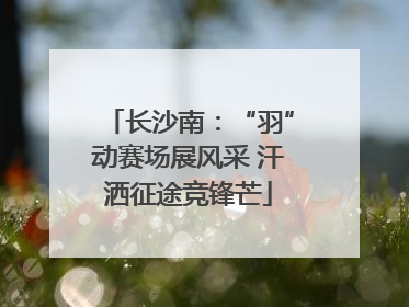 长沙南：“羽”动赛场展风采 汗洒征途竞锋芒