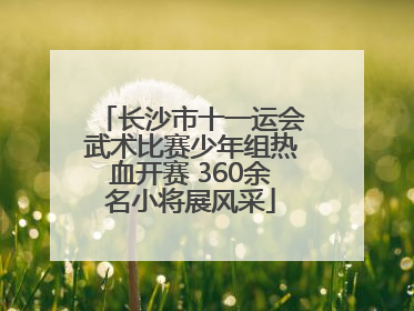 长沙市十一运会武术比赛少年组热血开赛 360余名小将展风采