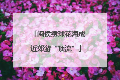 闽侯绣球花海成近郊游“顶流”