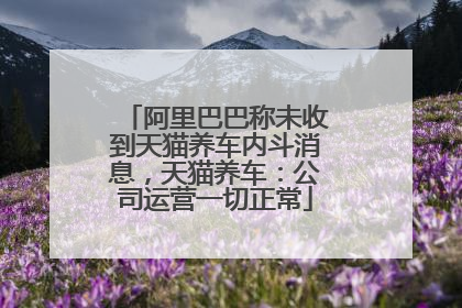 阿里巴巴称未收到天猫养车内斗消息，天猫养车：公司运营一切正常