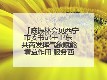 陈振林会见西宁市委书记王卫东 共商发挥气象赋能增益作用 服务西宁经济社会高质量发展