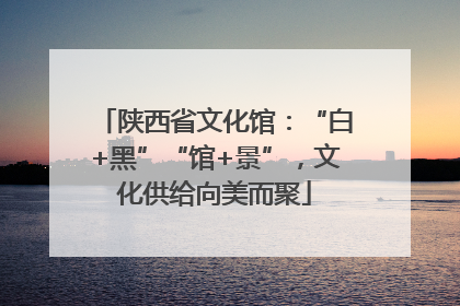 陕西省文化馆：“白+黑”“馆+景”，文化供给向美而聚
