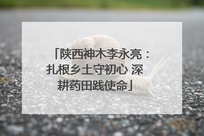 陕西神木李永亮：扎根乡土守初心 深耕药田践使命
