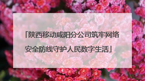 陕西移动咸阳分公司筑牢网络安全防线守护人民数字生活