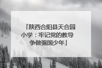 陕西合阳县天合园小学：牢记党的教导 争做强国少年