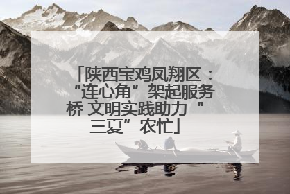 陕西宝鸡凤翔区：“连心角”架起服务桥 文明实践助力“三夏”农忙