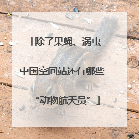 除了果蝇、涡虫 中国空间站还有哪些“动物航天员”