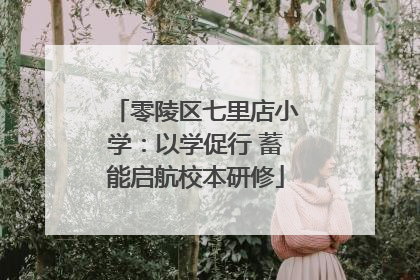 零陵区七里店小学：以学促行 蓄能启航校本研修