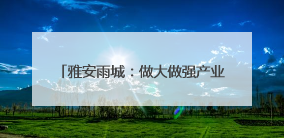 雅安雨城：做大做强产业支撑 推动高质量发展