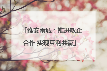 雅安雨城：推进政企合作 实现互利共赢
