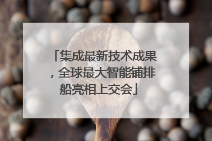 集成最新技术成果，全球最大智能铺排船亮相上交会