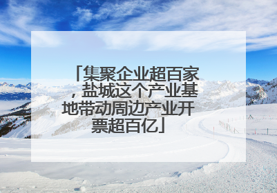 集聚企业超百家，盐城这个产业基地带动周边产业开票超百亿