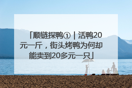 顺链探鸭①｜活鸭20元一斤，街头烤鸭为何却能卖到20多元一只