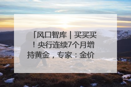 风口智库｜买买买！央行连续7个月增持黄金，专家：金价或仍易涨难跌