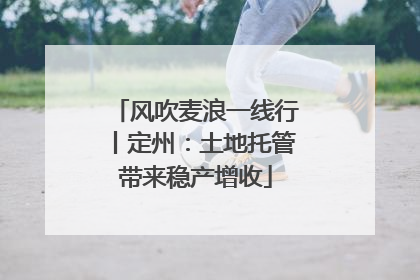 风吹麦浪一线行丨定州：土地托管带来稳产增收