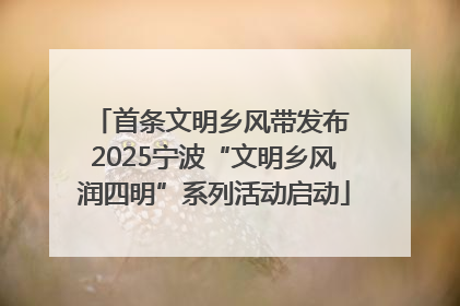 首条文明乡风带发布 2025宁波“文明乡风润四明”系列活动启动