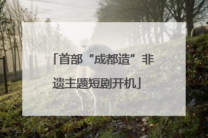 首部“成都造”非遗主题短剧开机