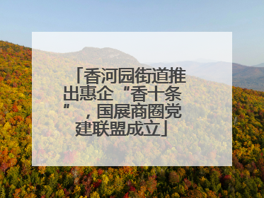 香河园街道推出惠企“香十条”，国展商圈党建联盟成立