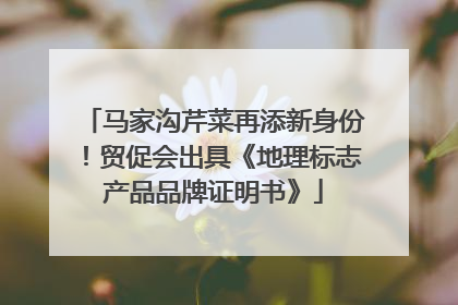 马家沟芹菜再添新身份！贸促会出具《地理标志产品品牌证明书》