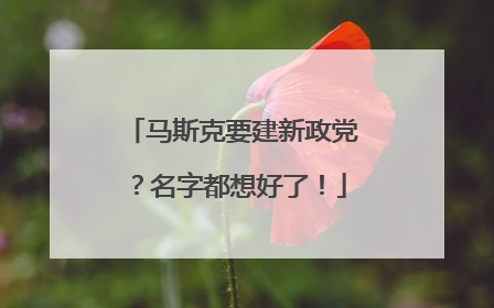 马斯克要建新政党？名字都想好了！