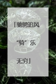 驰骋追风 “骑”乐无穷