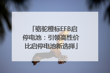 骆驼橙标EFB启停电池：引领高性价比启停电池新选择