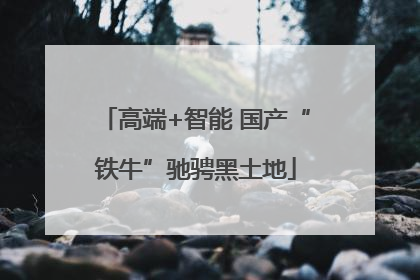 高端+智能 国产“铁牛”驰骋黑土地