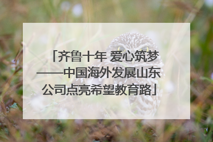 齐鲁十年 爱心筑梦——中国海外发展山东公司点亮希望教育路
